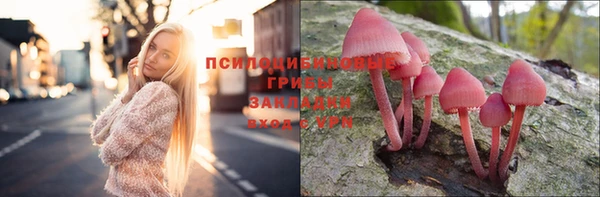 стаф Пестово