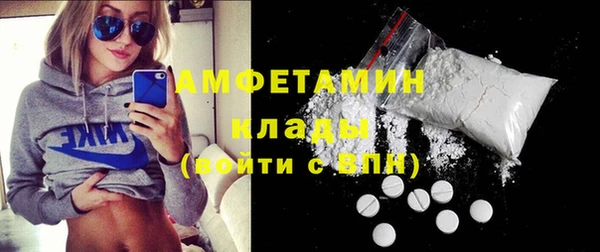 дмт Пересвет