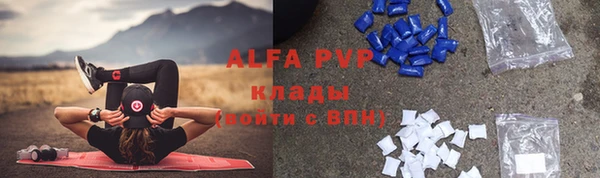 дмт Пересвет