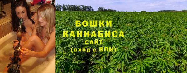 стаф Пестово
