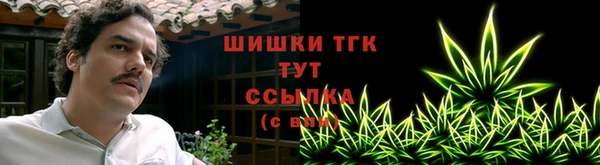 дмт Пересвет