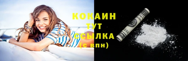 стаф Пестово