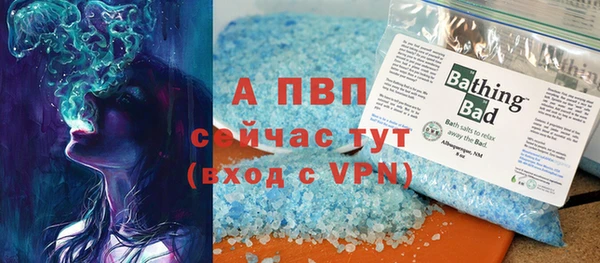 дмт Пересвет