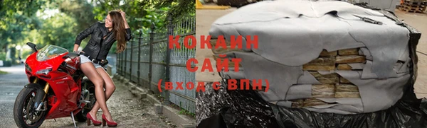 дмт Пересвет